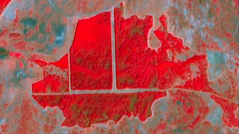 Detecção de Fragilidade e Mortalidade de Talhões de Eucalipto via Nanosatélites — Vallourec Florestal S.A.