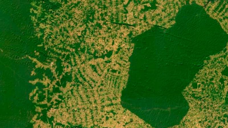 Processamento digital de imagens de satélite aplicadas à gestão ambiental e do agronegócio